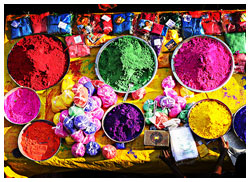Holi Festival Holi Festival